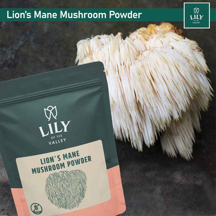 Lion’s Mane Mushroom Powder